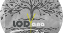 Organizer